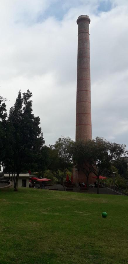 Funchal Petrolhead Apartment エクステリア 写真